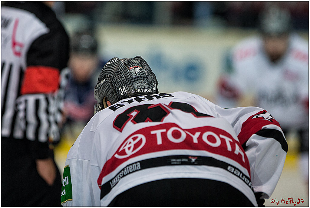 DEL, Iserlohn Roosters - Koelner Haie , 17.02.2017